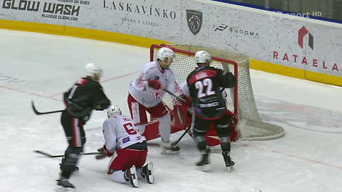 1. česká hokejová liga mužů - Maxa liga - souhrn