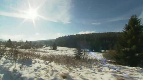 Nedej se! - Národní plyšák Šumava