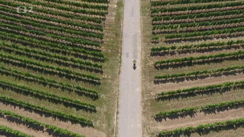 Cyklotoulky - Burgenland