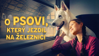 O psovi, který jezdil na železnici