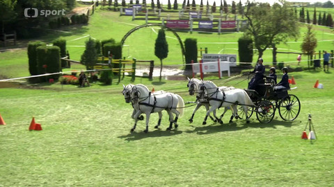 Koně a sport - 21. srpna