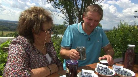 Hobby naší doby - 1. října 2022