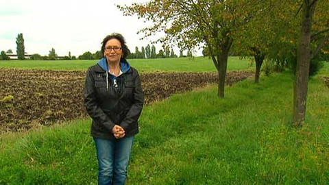 Chcete mě? - 6. října 2013