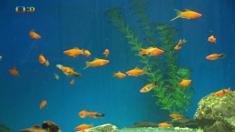 Terčin zvířecí svět - 26. dubna 2019