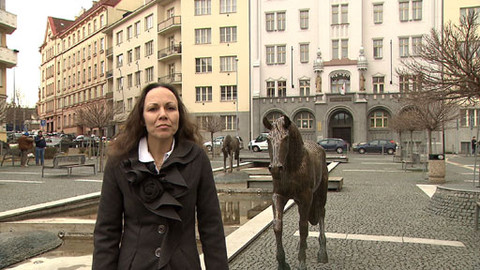 Sváteční slovo - Sváteční slovo duchovní Církve československé husitské Hany Tonzarové