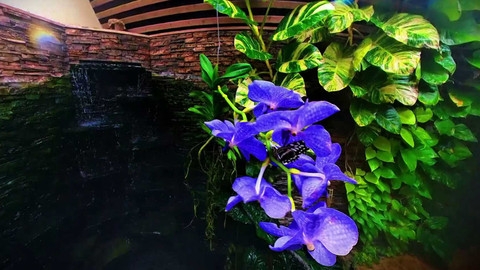 Týden v regionech (Brno) - 22. února