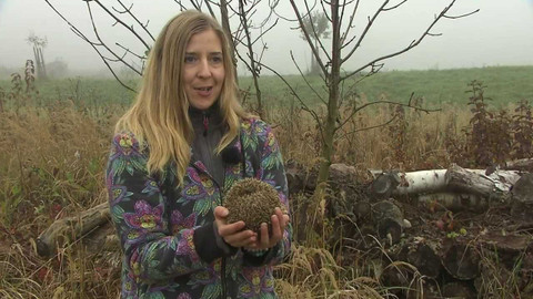 Hobby naší doby - 3. prosince 2022