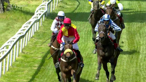 Velká pardubická - Před Velkou pardubickou