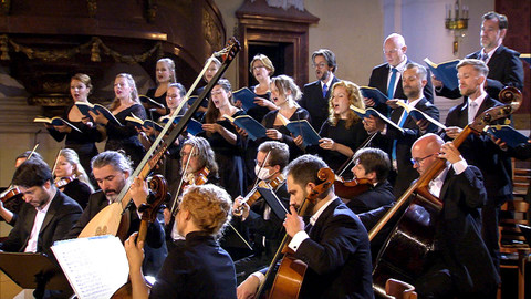 Collegium 1704 - Mesiáš