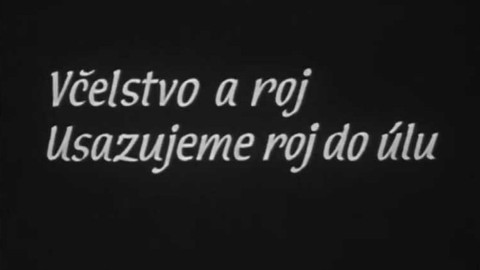 Dejte se na včely - Epizoda 2.