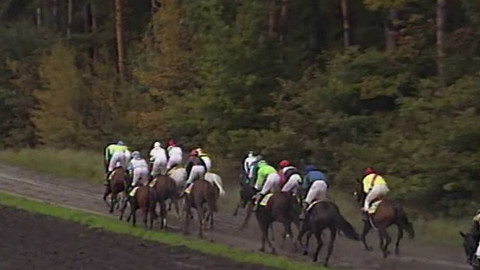 Velká pardubická - historie - 2002