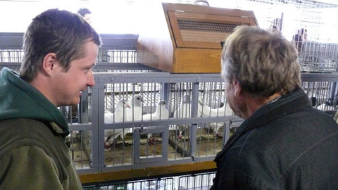 Malá farma - Holubí dům