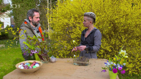 Polopatě - 31. března 2024