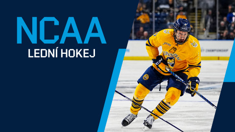 NCAA lední hokej