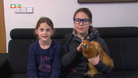 Terčin zvířecí svět - 10. dubna 2020