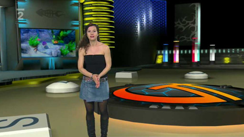 Game Page - 14. února 2002