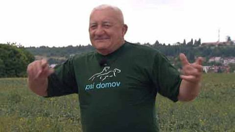 Chcete mě? - 17. června 2012