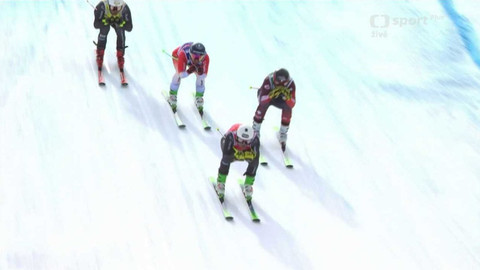 Světový pohár ve freestyle lyžování - Švýcarsko