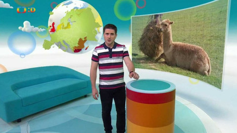 Zprávičky - 6. května 2020