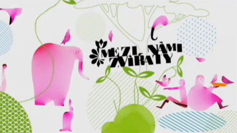 Mezi námi zvířaty