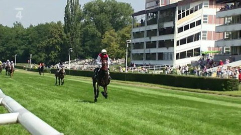 Turf - 21. srpna 2012