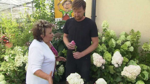 Hobby naší doby - 16. listopadu 2019