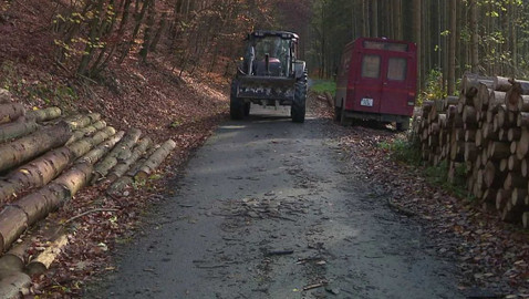 Nedej se! - Lesy jako laciné zboží