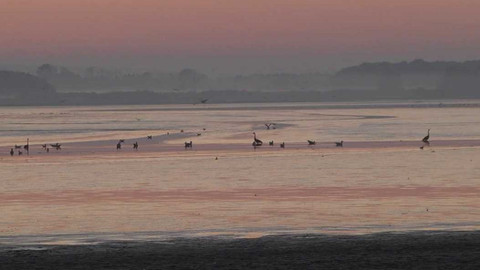 Vltava, naše řeka - 4/10 Dát hlavu za Blata