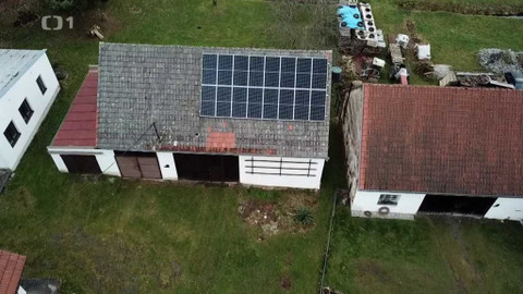 Černé ovce - 1. března 2023