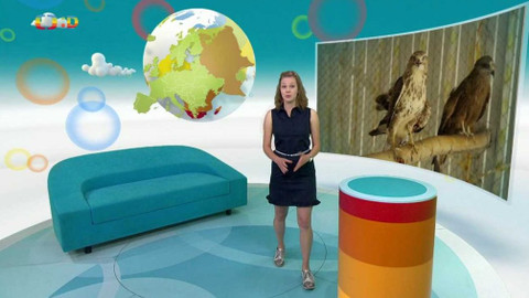 Zprávičky - 24. června 2020