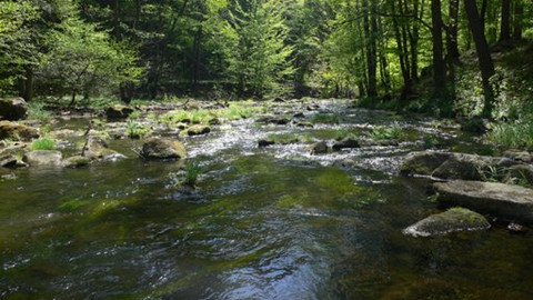 Vzduchoplavec Kráčmera - Nad Železnými horami