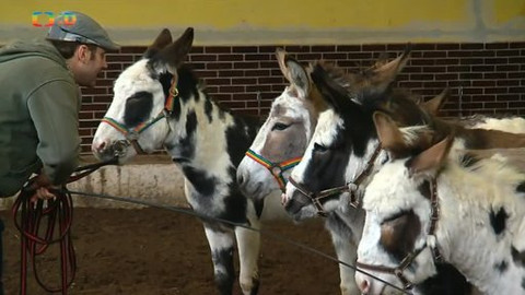 Náš zvěřinec - Cirkus Berousek