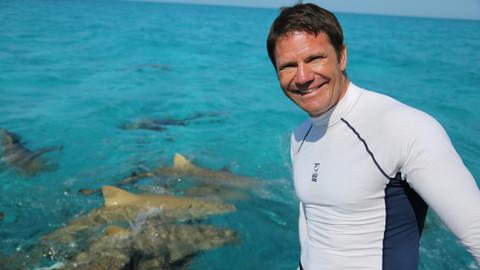 Na cestách za zvířecími zabijáky - 12/12 To nejlepší z celé expedice