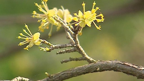 Turbulence - 28. dubna 2013