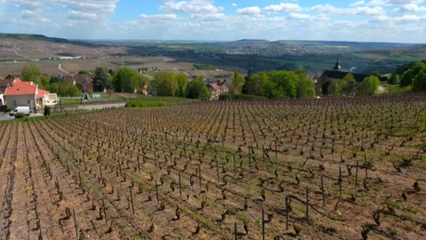 Bedekr - Remeš a Champagne