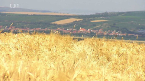 Týden v regionech (Brno) - 7. července 2018