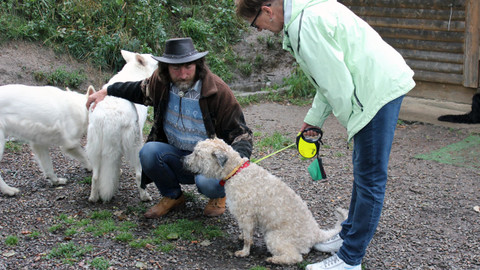 Kočka není pes - Náruživý Jonash a zhýčkané Julinka a Minda