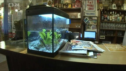 Sbohem Československo - 8. Jak to viděli a vidí Slováci v Česku a Češi na Slovensku