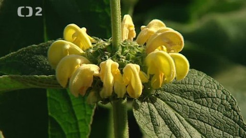 Přidej se - Přírodní zahrady IV.