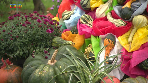 Zprávičky - 19. října 2024