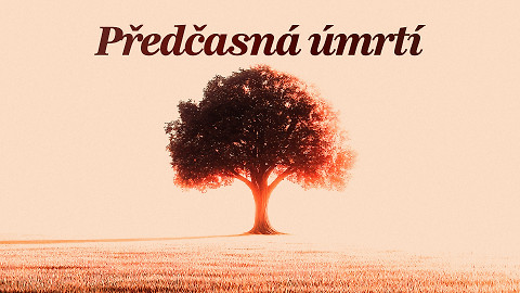 Předčasná úmrtí