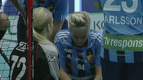 PMEZ ve florbalu 2011 mužů a žen Česko - Herbandent SJM - Djurgardens IF