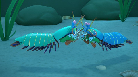 Leo, strážce přírody - Strašek paví