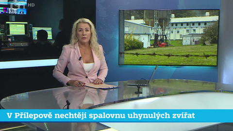 Události v regionech (jih a západ) - 25. října 2024