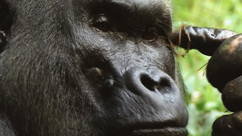 Chcete mě? - 26. října 2014