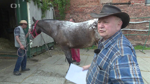 168 hodin - 12. května 2024