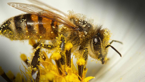 Polopatě - 30. června 2024