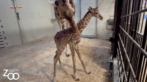 Zprávičky - 9. června 2022