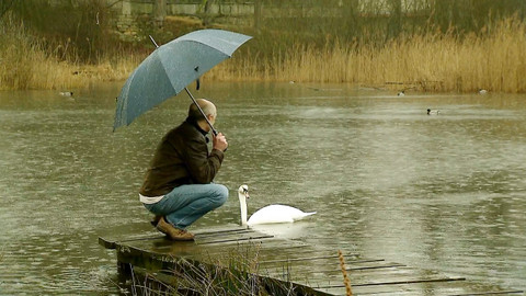 Nedej se! - Čmelák ví jak