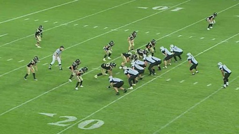 Americký fotbal - Česká liga v americkém fotbalu